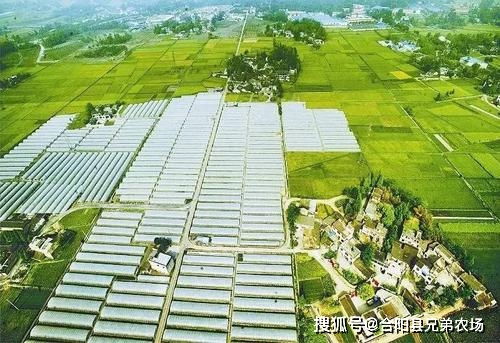 打造農業發展新動能 2020江西省農業發展大會側記