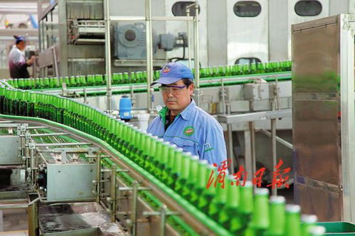 打造農產品加工產業新地標 渭南經開區傾力推進農業產業高質量發展