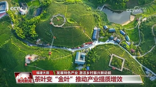 發(fā)展特色產(chǎn)業(yè) 激活鄉(xiāng)村振興新動能