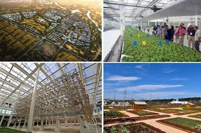 【游學(xué)課程】以農(nóng)業(yè)為基礎(chǔ),如何搭建現(xiàn)代農(nóng)業(yè),休閑度假,田園社區(qū)的農(nóng)業(yè)綜合體開發(fā)模式?