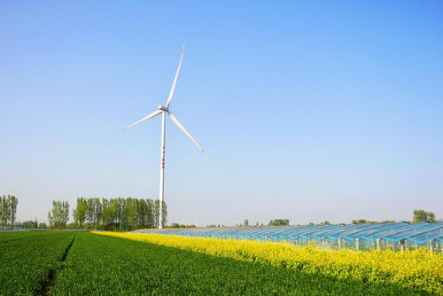 臨邑臨南鎮(zhèn) 傾力發(fā)展智慧農(nóng)業(yè),打造番茄特色小鎮(zhèn)