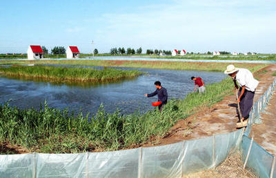 圖文:黃河三角洲農(nóng)業(yè)開發(fā)結(jié)碩果(2)