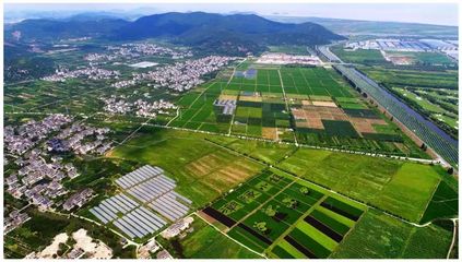 總面積8.5萬畝!海寧農(nóng)業(yè)經(jīng)濟(jì)開發(fā)區(qū)成立!