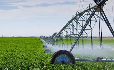 【海外農(nóng)業(yè)】以色列農(nóng)業(yè)對(duì)中國農(nóng)業(yè)創(chuàng)新的啟示