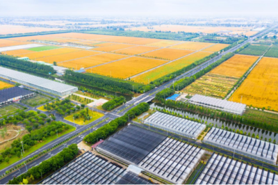 江蘇海安:深耕農業園 在現代農業發展道路上闊步前進