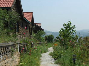 太原市采薇莊園特色農業開發圖冊