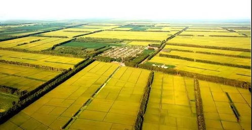 再見(jiàn)十月 回憶一下,十月我們都做了什么