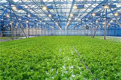 開(kāi)一家天賦生態(tài)農(nóng)業(yè)開(kāi)發(fā)加盟費(fèi)多少?大致需要8.1萬(wàn)元起