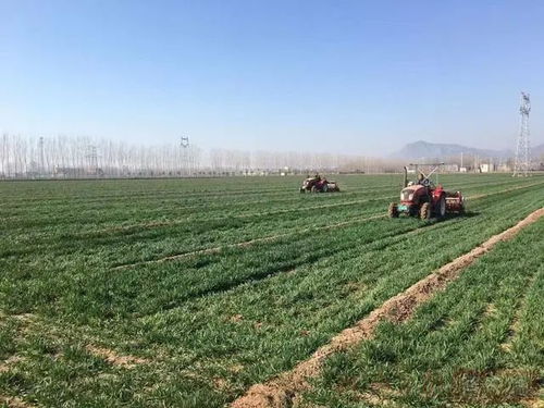 政策 支持新型肥料產(chǎn)品研發(fā) 院士 數(shù)字鄉(xiāng)村建設(shè)發(fā)展不平衡