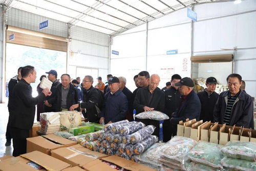 喜迎重陽 農業開發中的安康中院老前輩佳節紀念