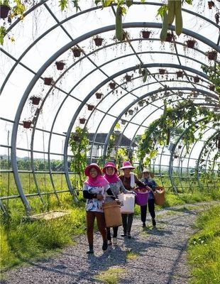 勇當鄉村振興“偵察兵”“先鋒隊”——瀏陽市國家級田園綜合體建設試點紀實