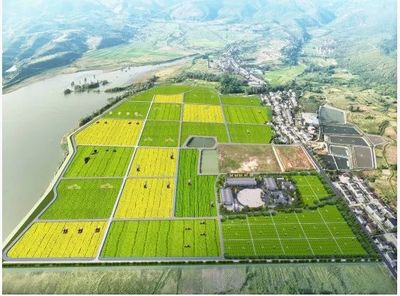 從“伏羲農場”看通遼開發區未來農業新圖景