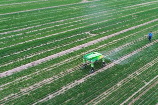 智慧農業 科技與農業融合下的新型農田種植模式開發