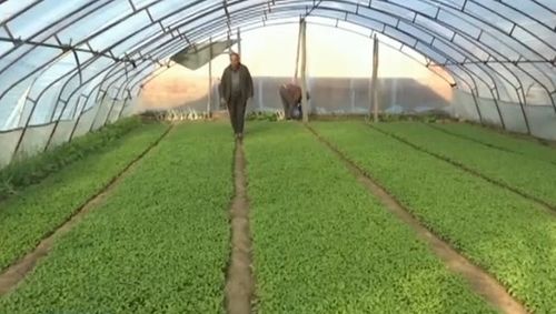 身份證可能被別人綁定微信支付？4步教你快速查詢(xún)與解綁