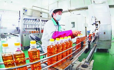 吉林 厚植黑土優勢，賦能農業升級，擘畫現代農業新藍圖