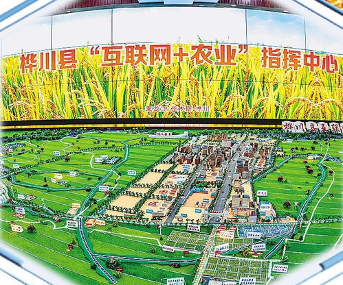 樺川以高標準鏈出農(nóng)業(yè)發(fā)展新稻路 構建現(xiàn)代農(nóng)業(yè)發(fā)展體系